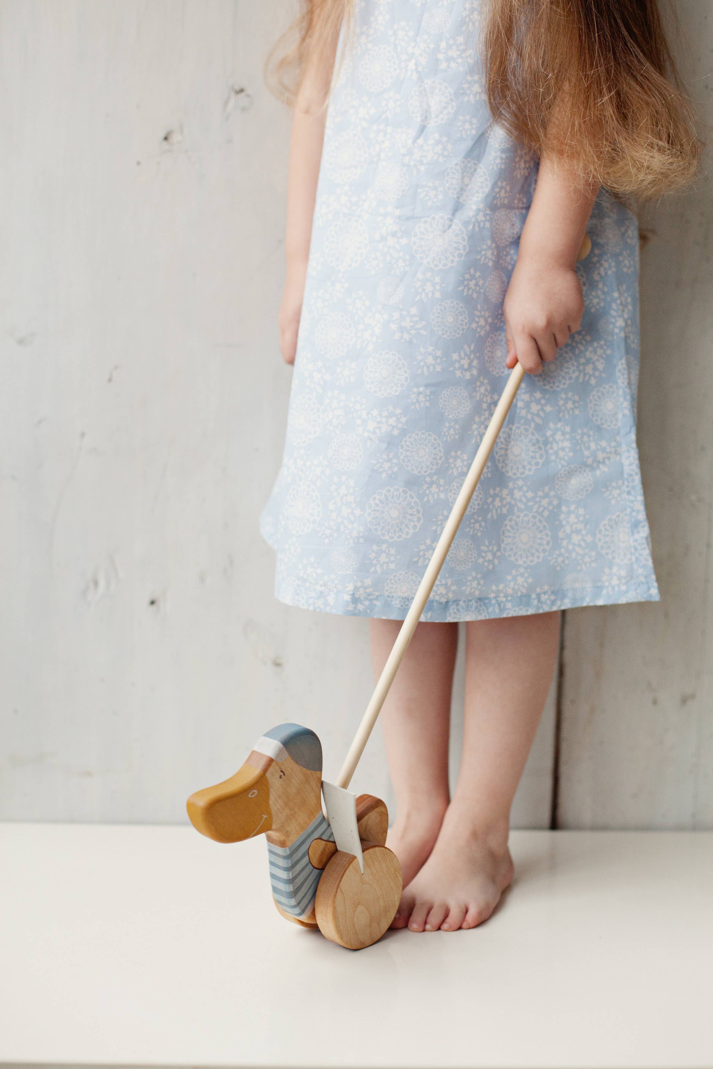 Handcrafted Wooden Blue Duck Push Toy