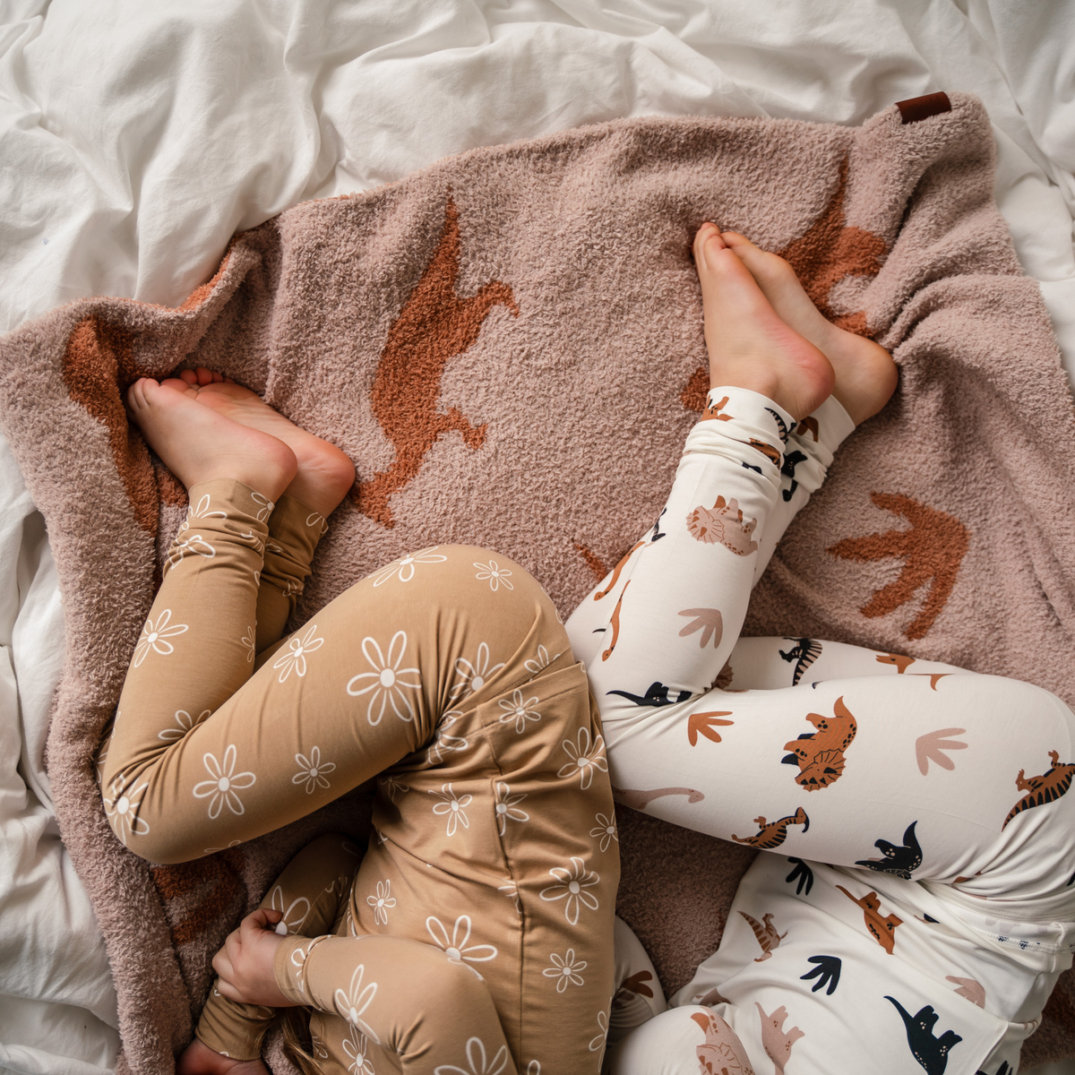 Plush Toddler Blanket, Desert Dinos