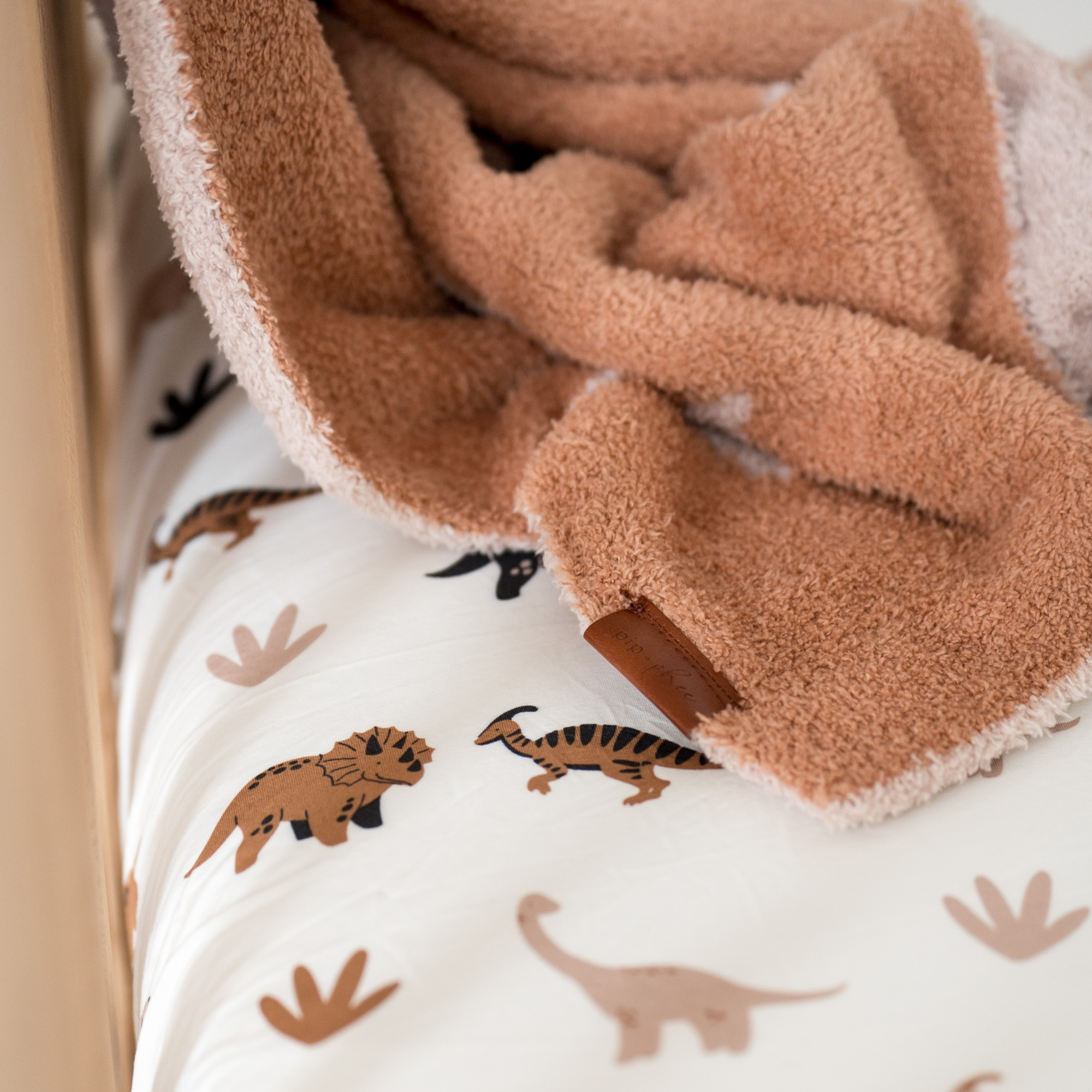 Plush Blankets - 30" x 40"| LE Prints: Desert-dinos
