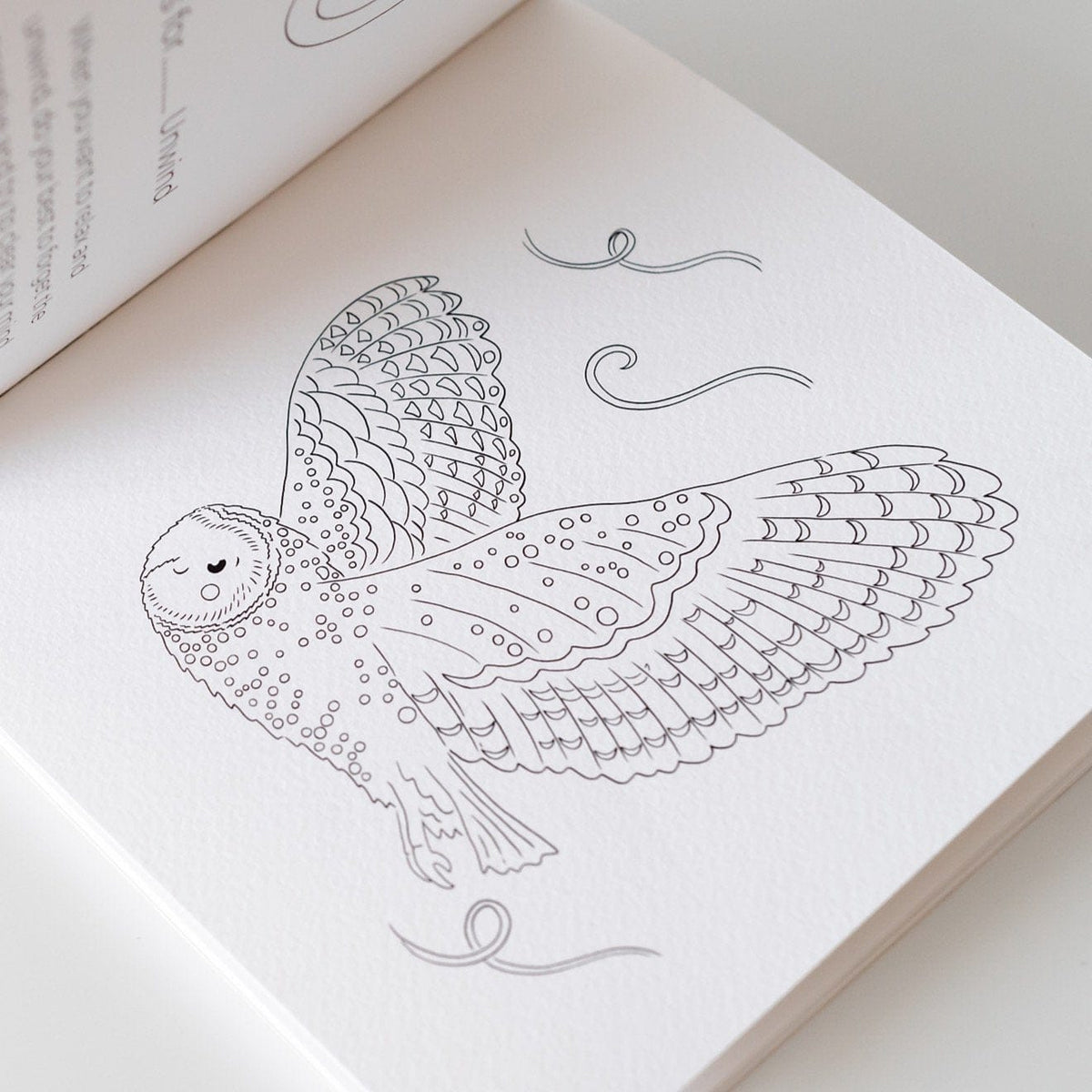Owl coloring page from the ABCs of Mindfulness book