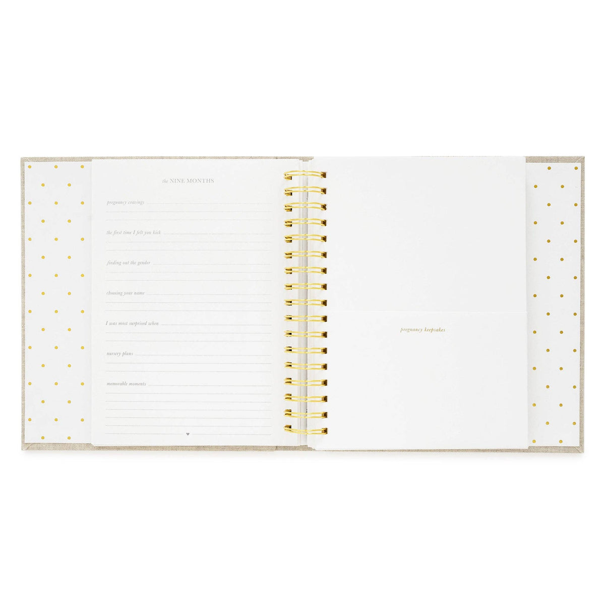 The Baby Book - Chambray