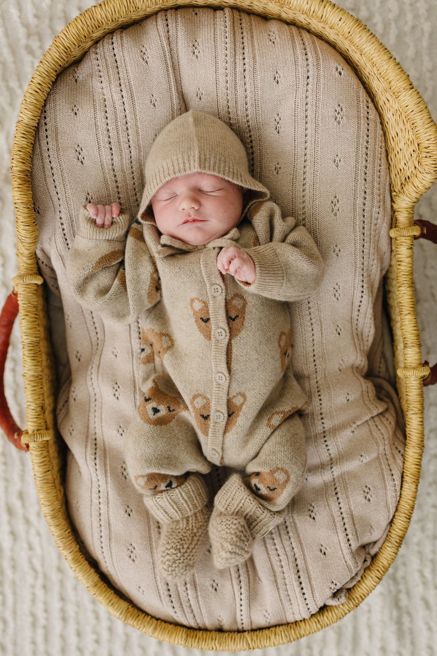The intarsia knitted bear pattern shown close