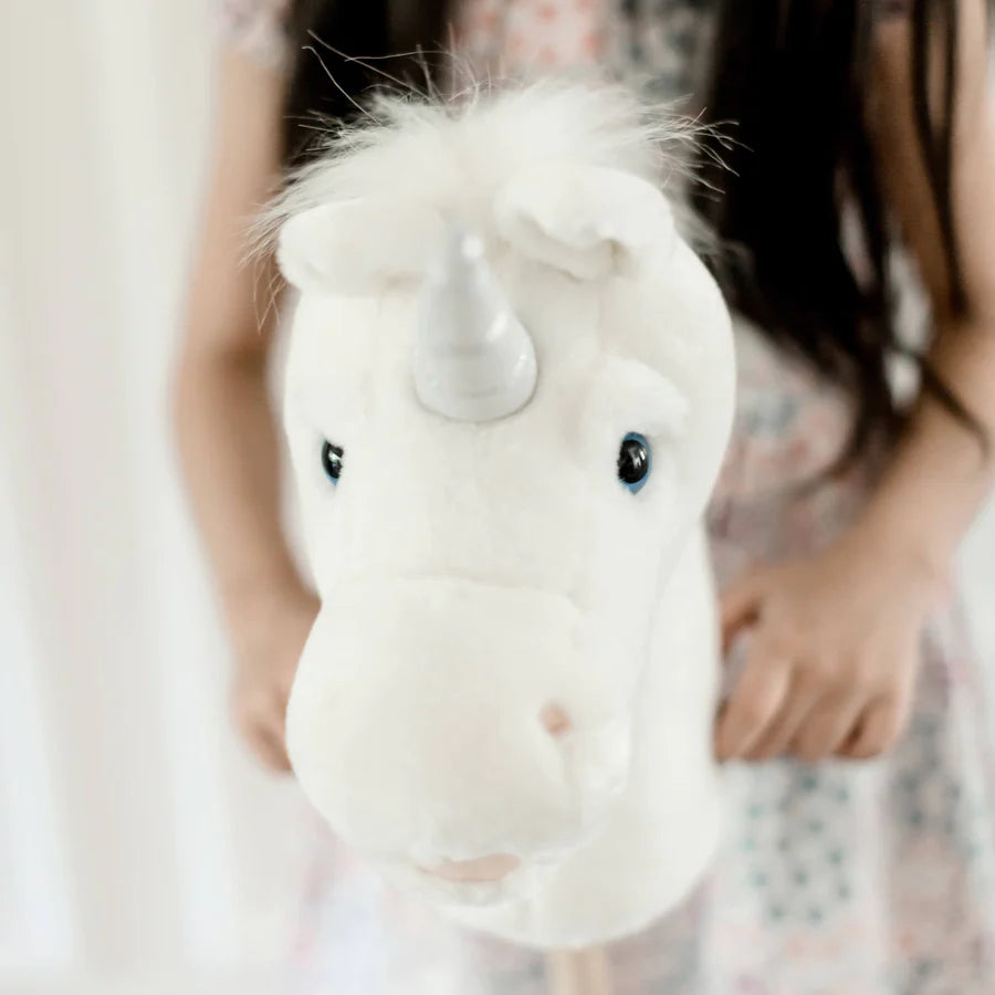 Little Unicorn Rider + Board Book