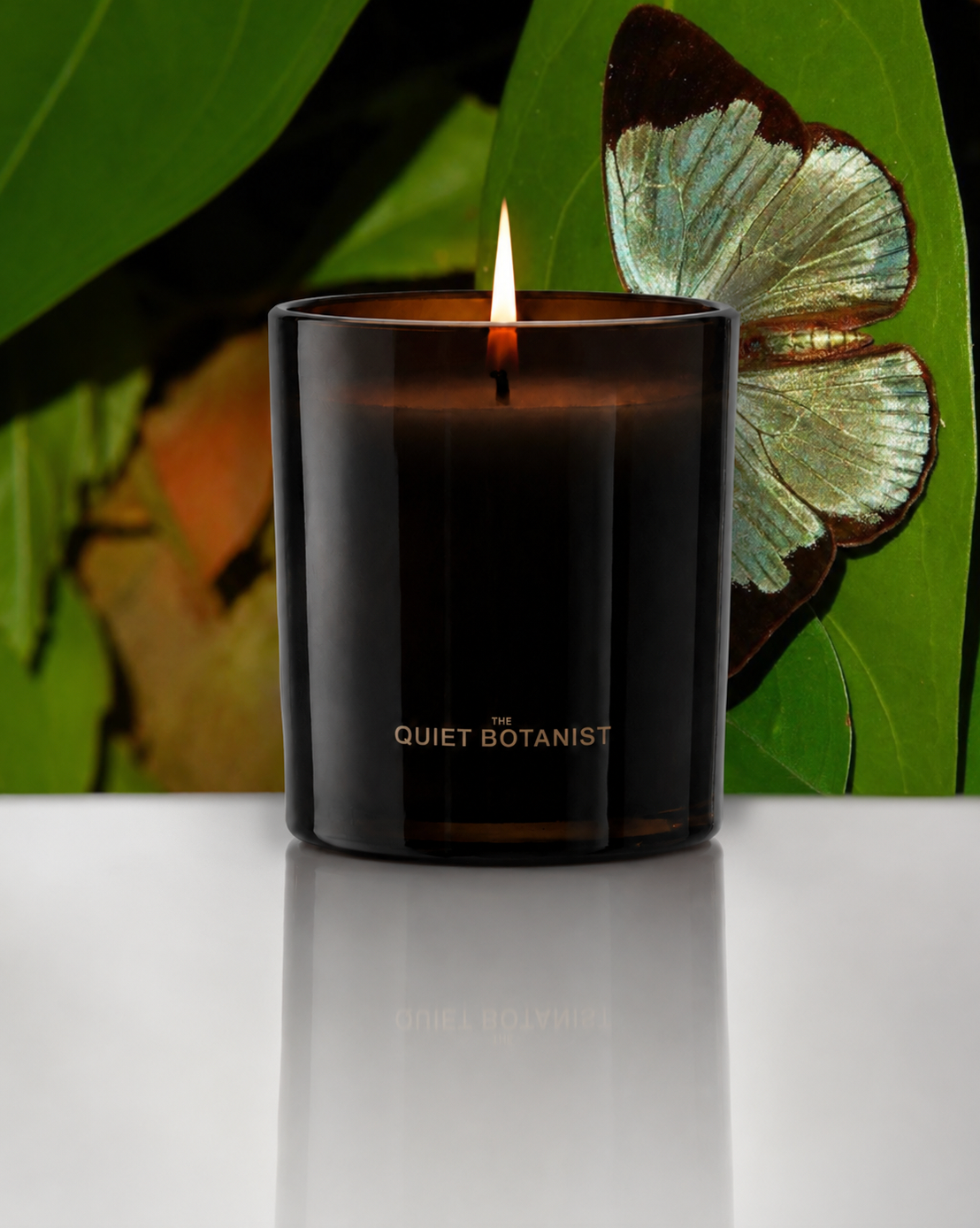 The Quiet Botanist The Exotics candle with its botanical box