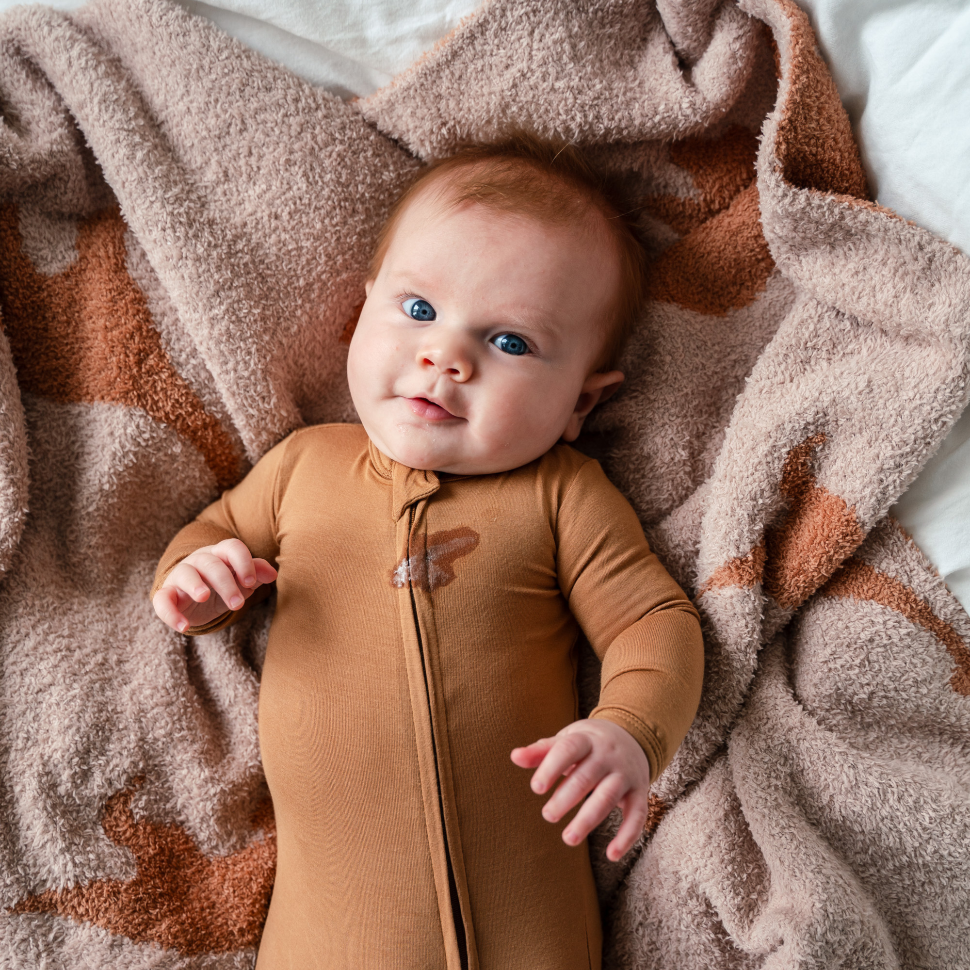 Plush Blankets - 30" x 40"| LE Prints: Desert-dinos