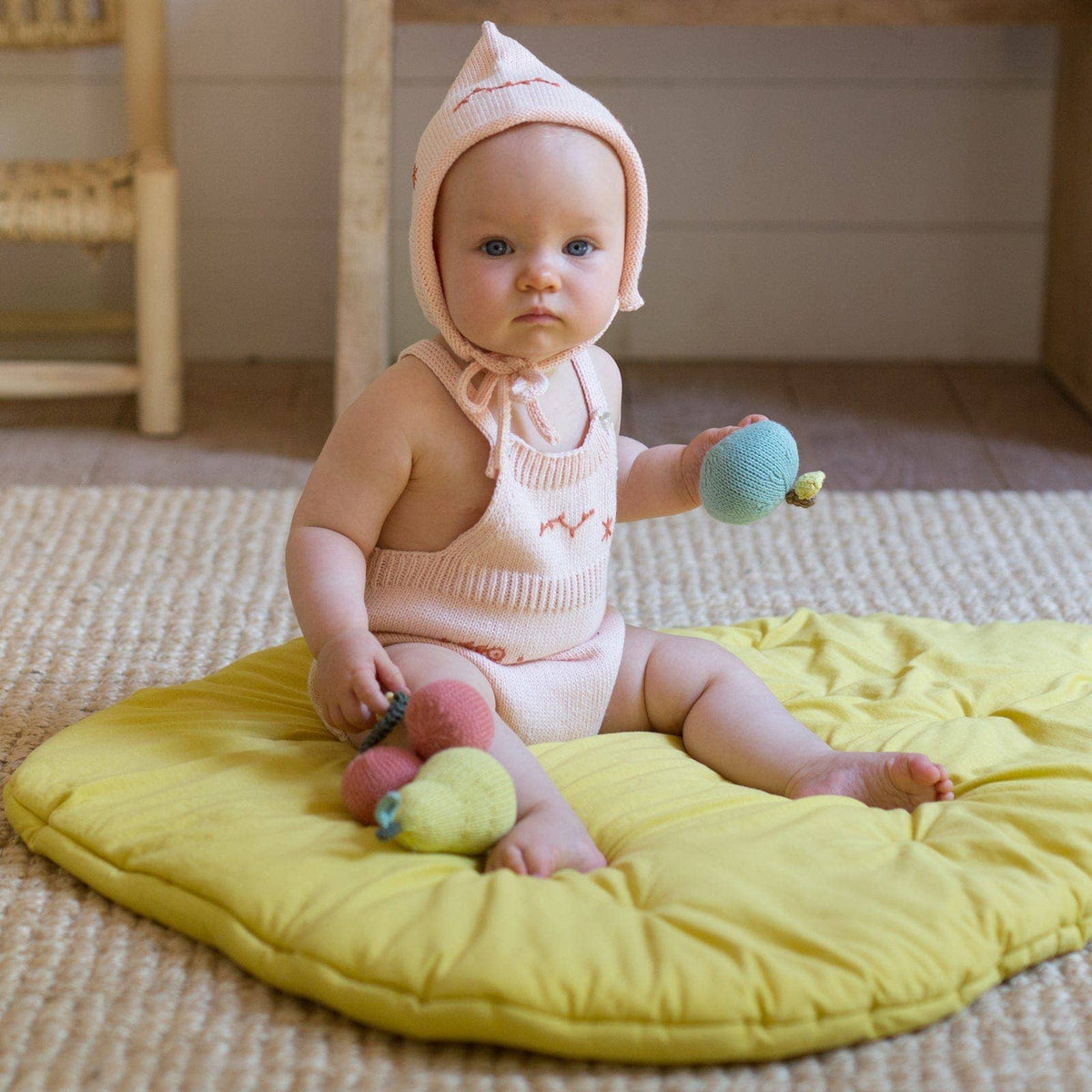 Fruit Rattle Apple