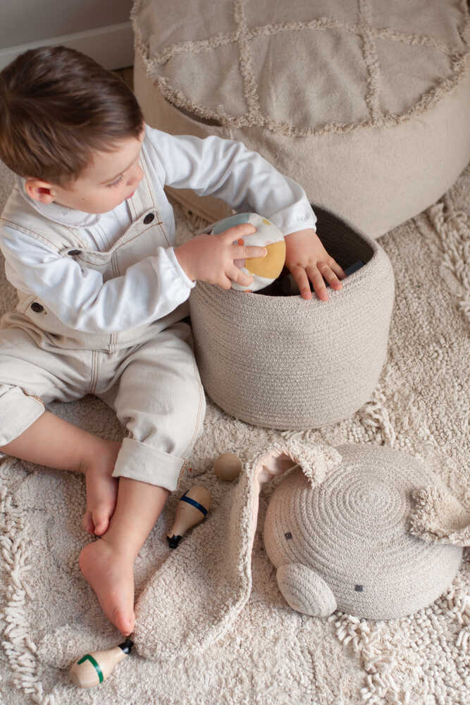 Basket Rita the Rabbit