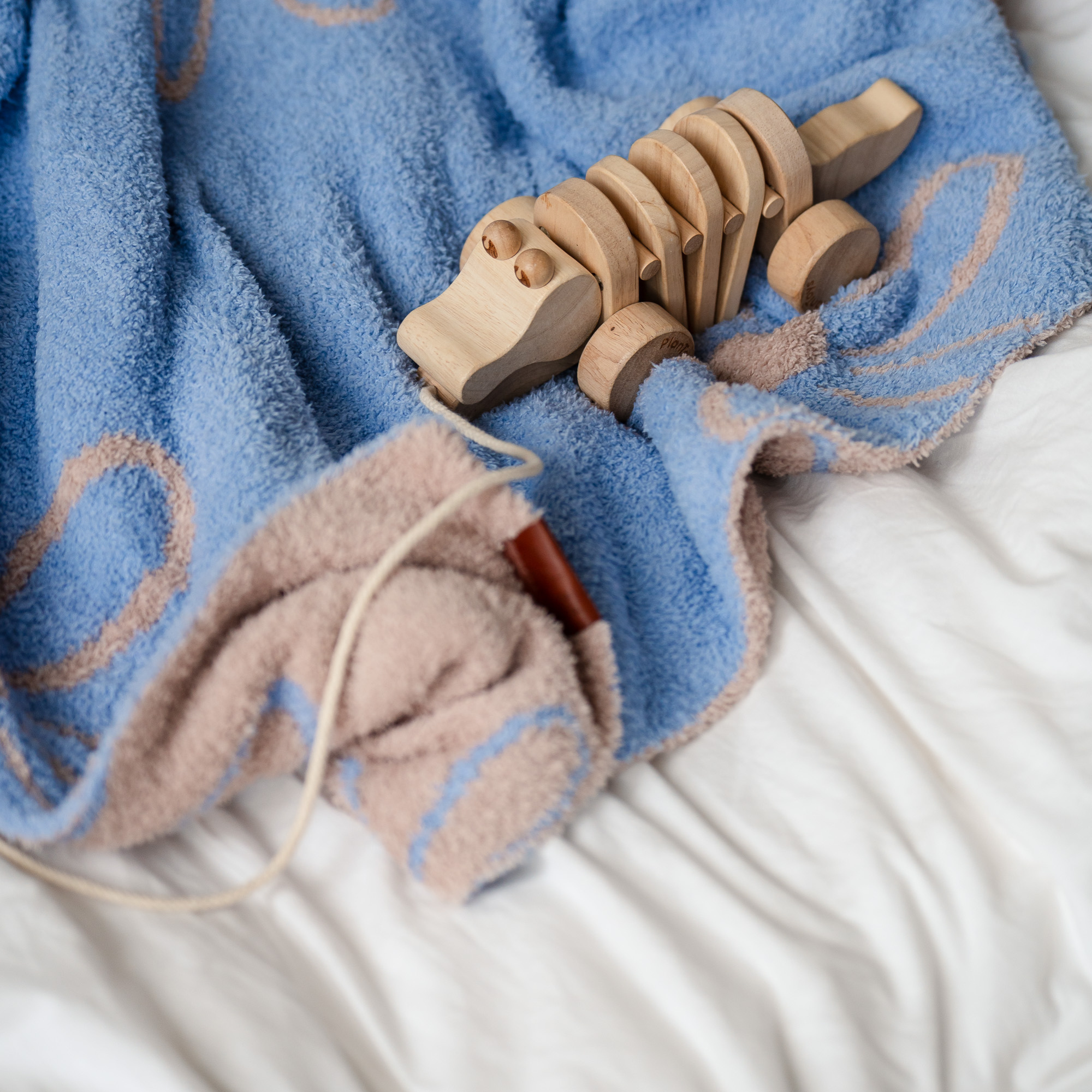 Plush Blankets - 30" x 40"| LE Prints: Desert-dinos