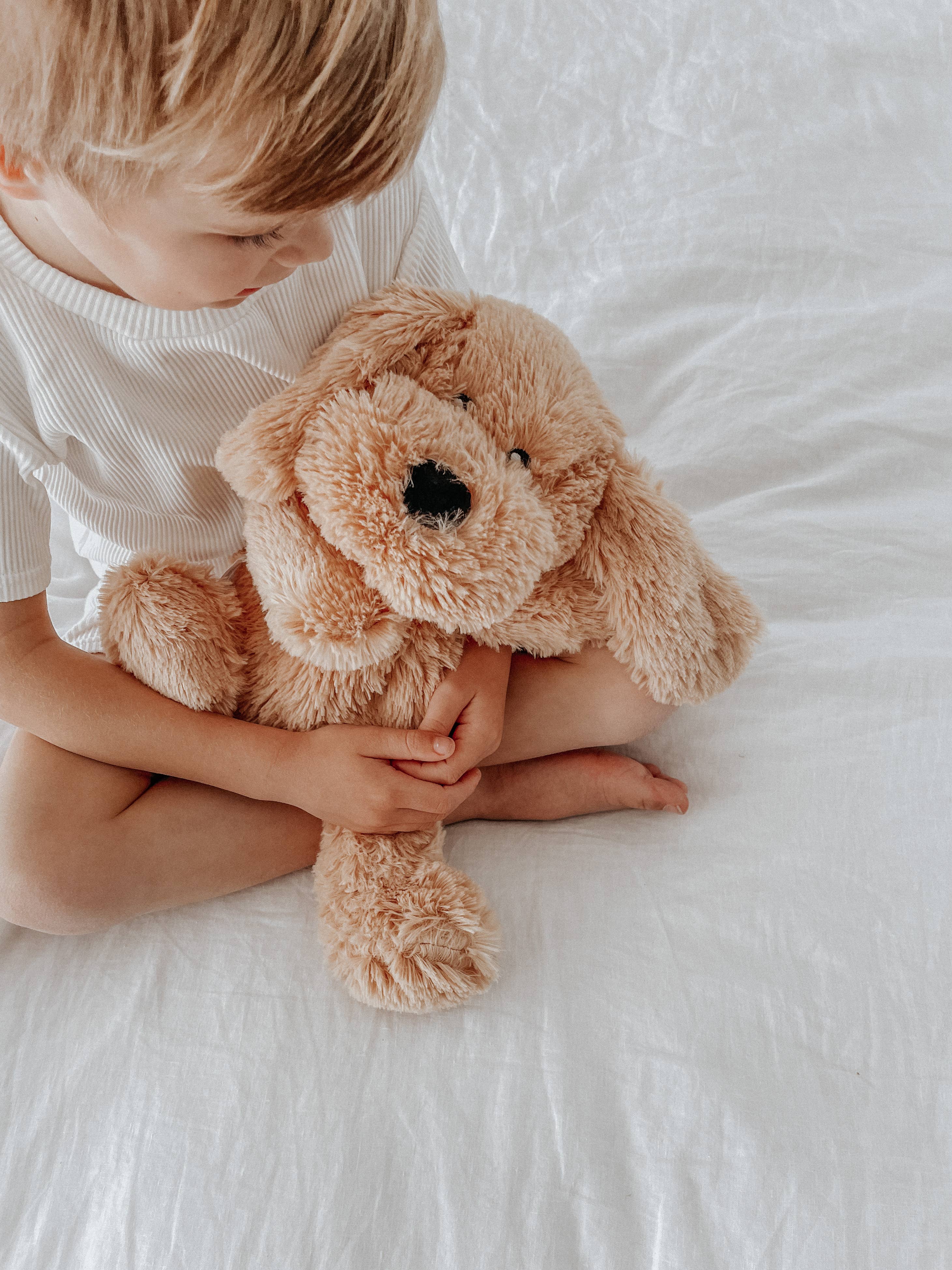 Charlie the weighted puppy dog, a calming sensory toy for toddlers