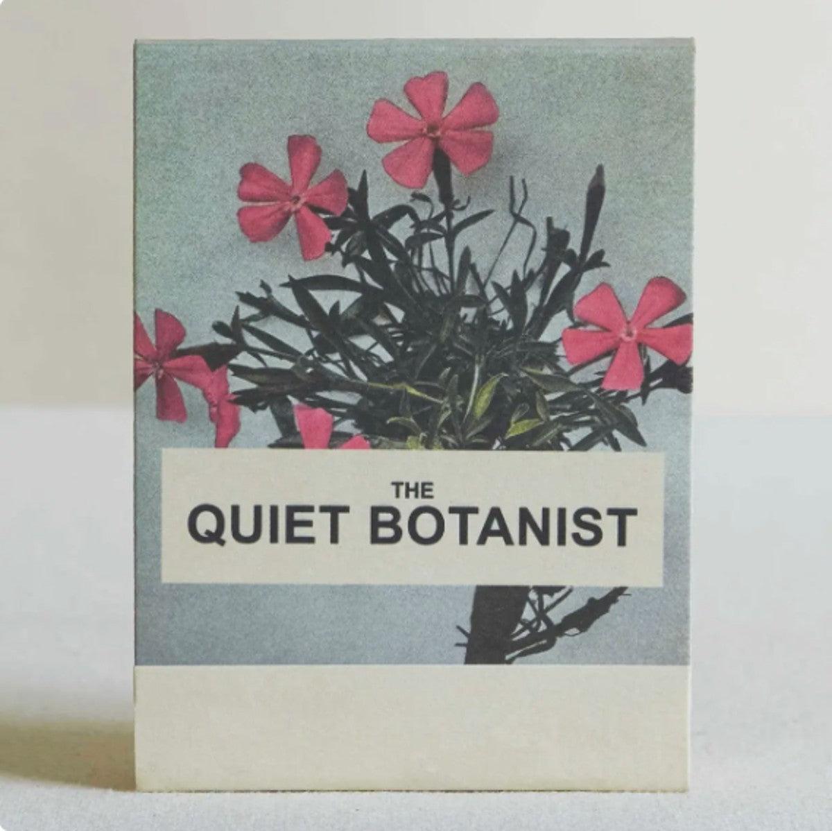 The Visit, The Quiet Botanist Wild Pink Botanical Matches