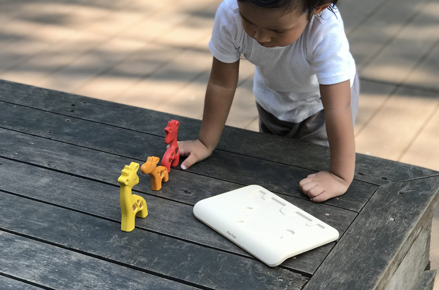 Giraffe Puzzle