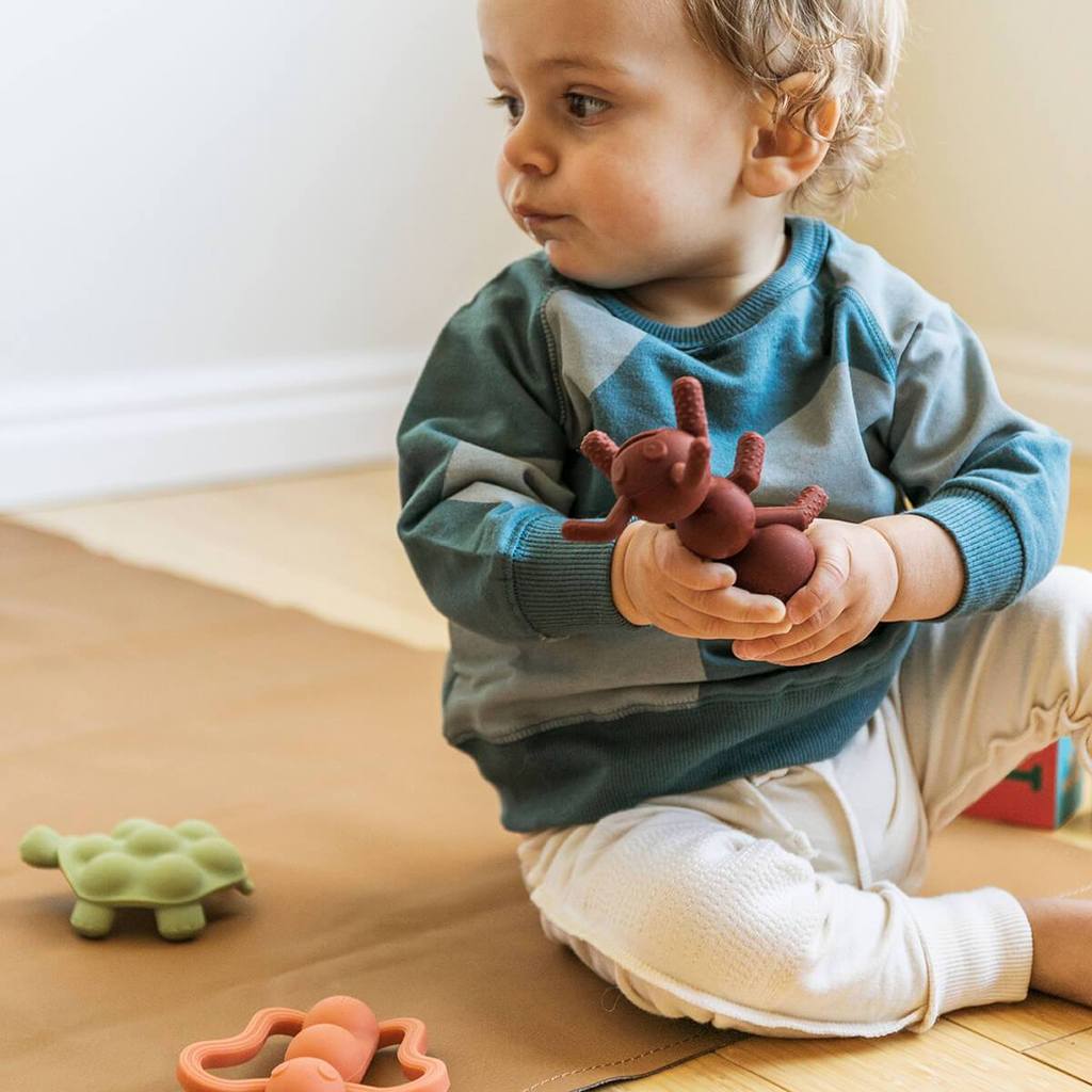 The Chew-ANT-ICIPATION™