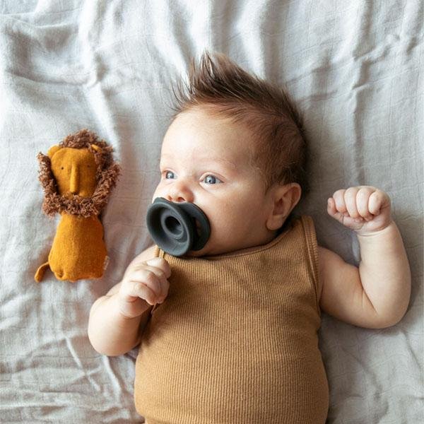 Born To Be Wild Bundle