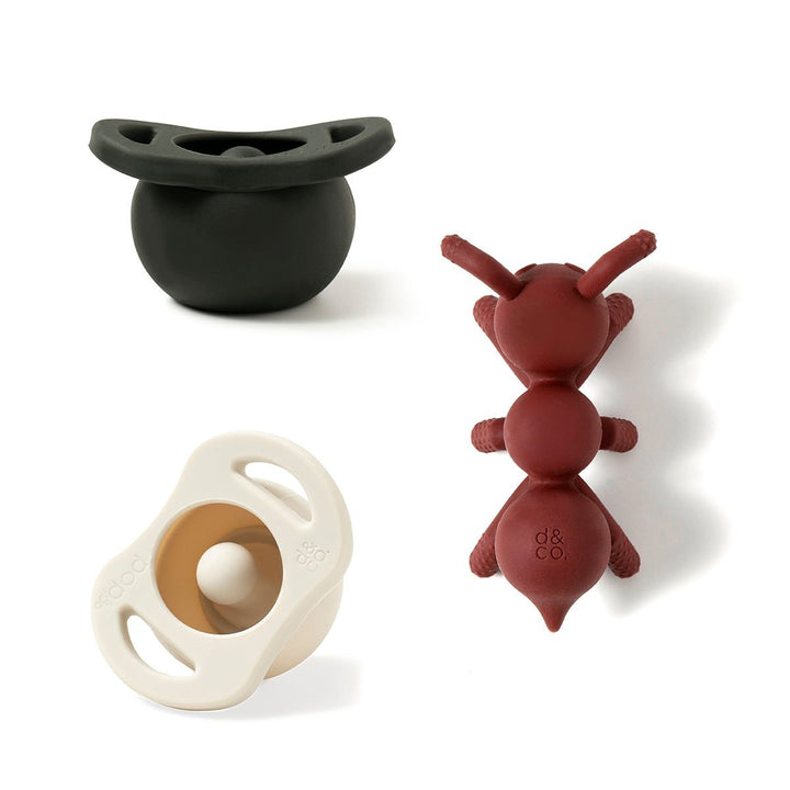 Born To Be Wild Bundle