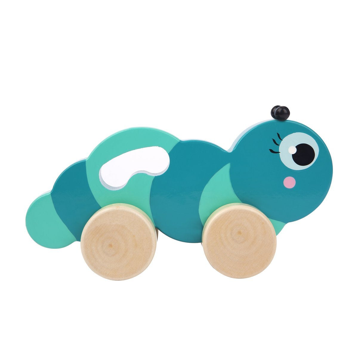 Caterpillar Push 'n' Pull Toy