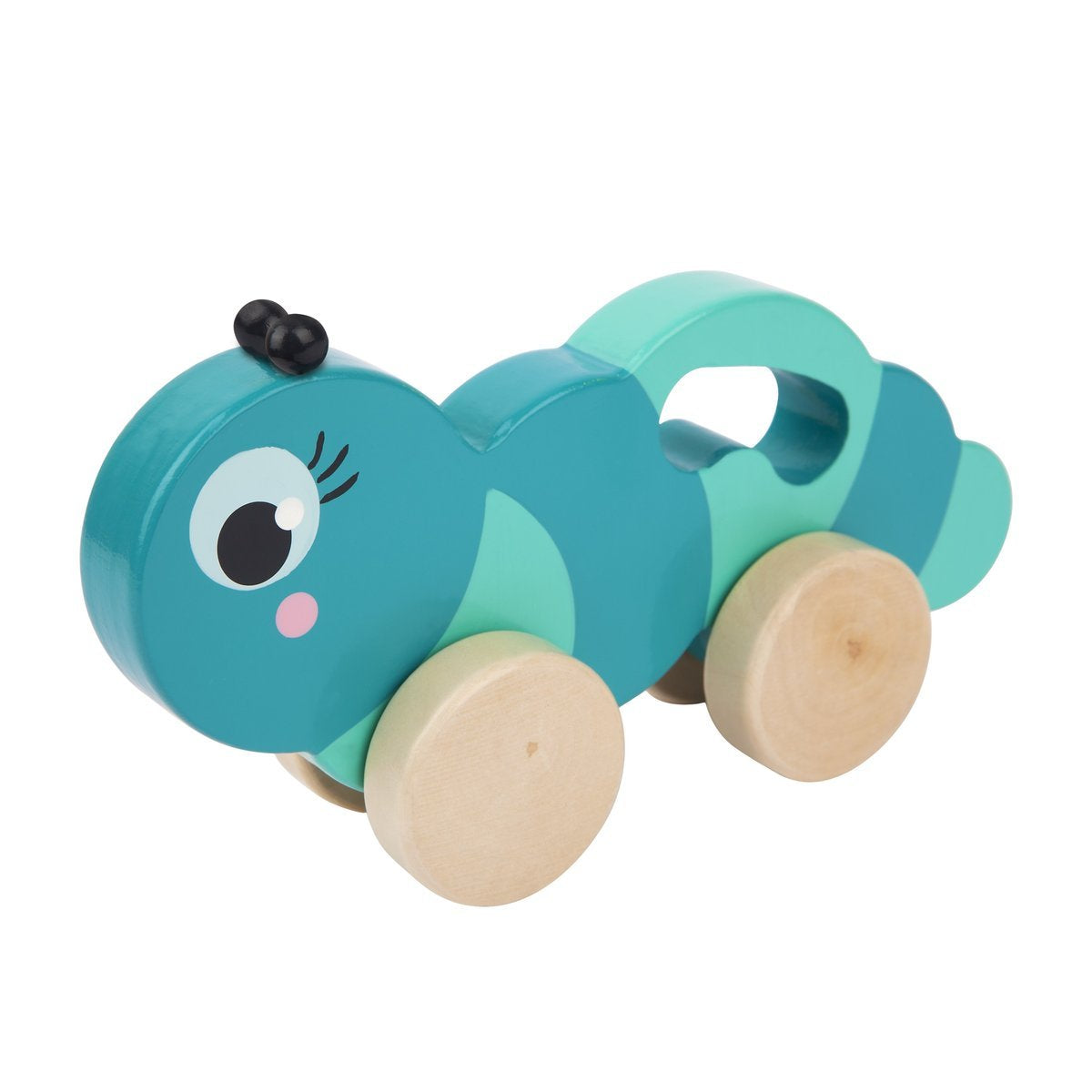 Caterpillar Push 'n' Pull Toy