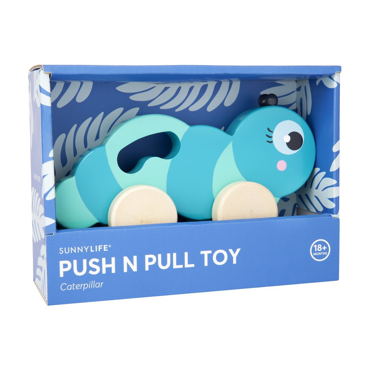Caterpillar Push 'n' Pull Toy