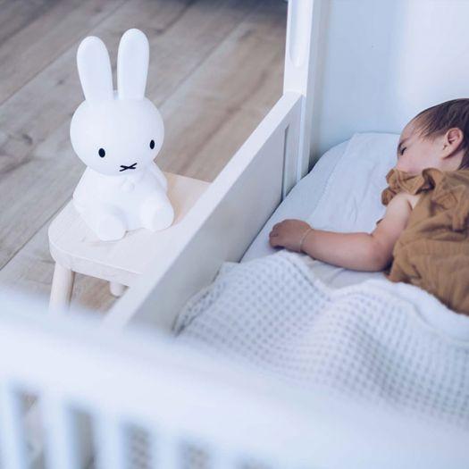 Miffy lamp