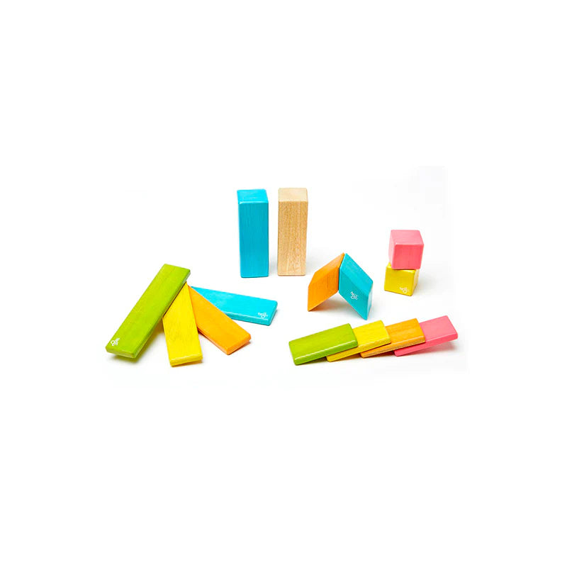 14 Piece Magnetic Wooden Block Set - Tints