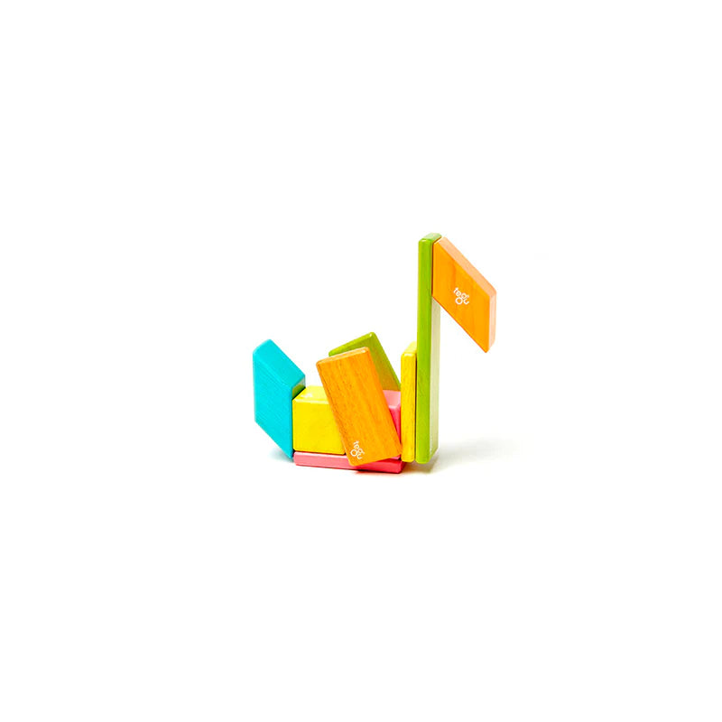 14 Piece Magnetic Wooden Block Set - Tints