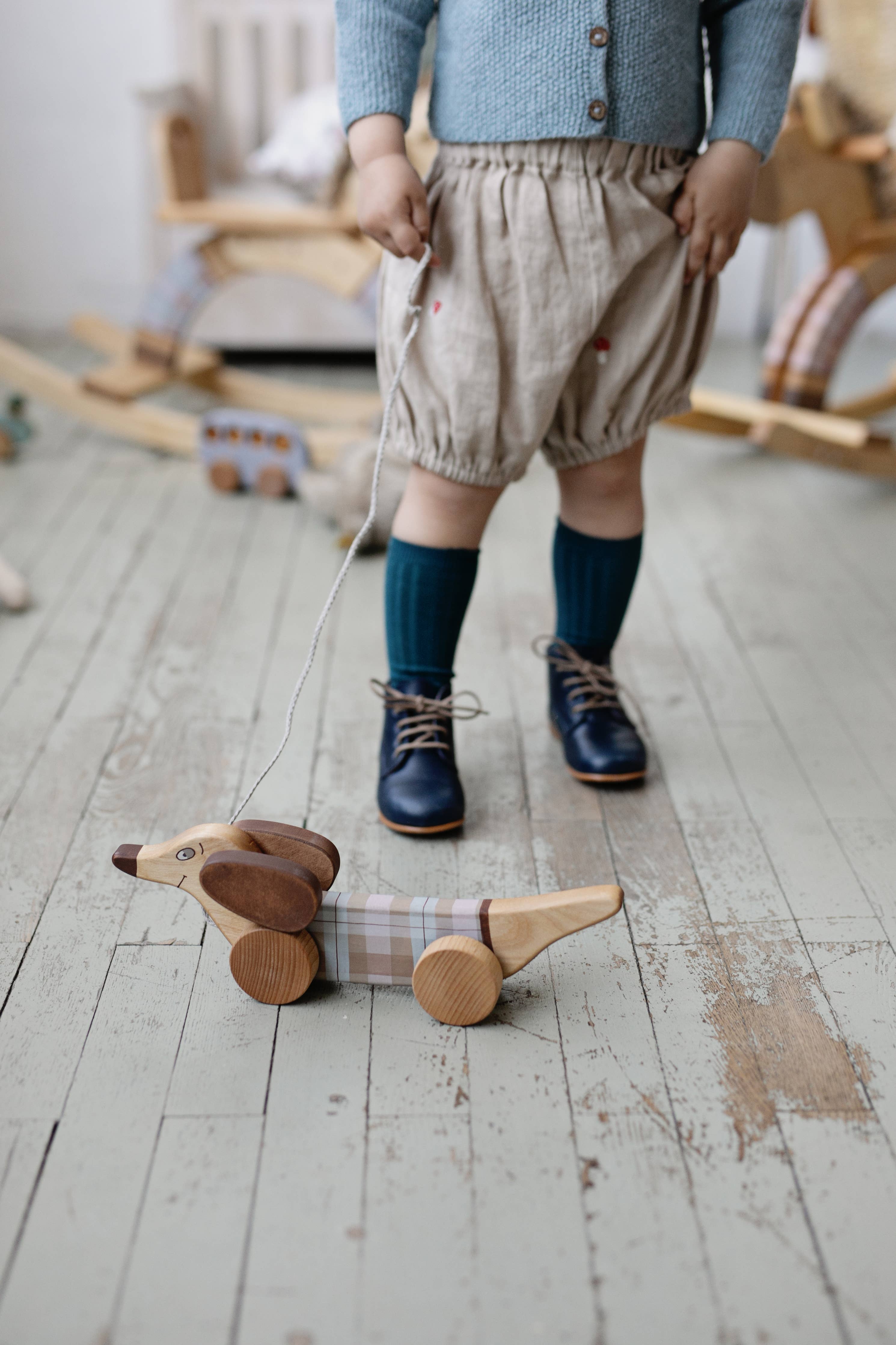 Handcrafted Birch Wood Pastel Sausage Dog Pull Toy