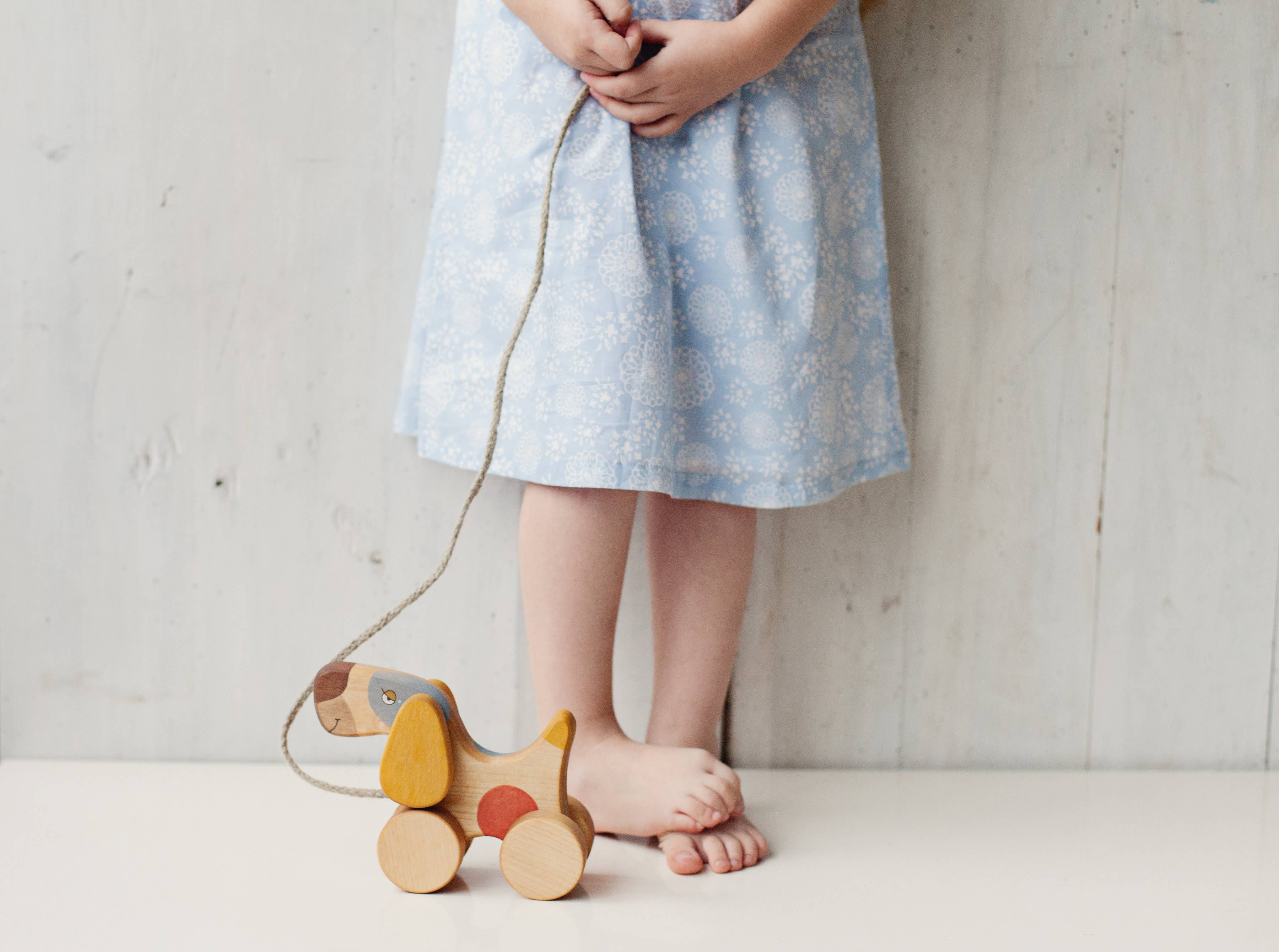 Handcrafted Wooden Dog Pull Toy