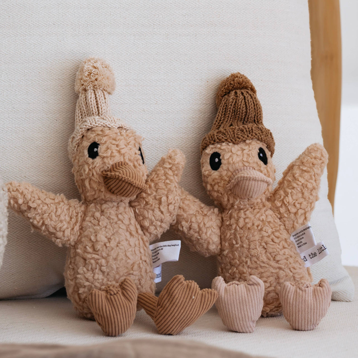 Poppy Duck