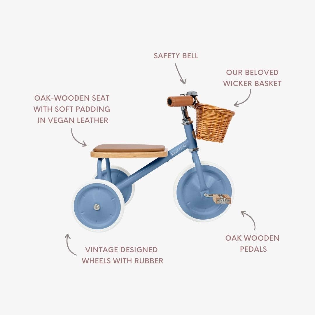 Vintage Trike - Blue