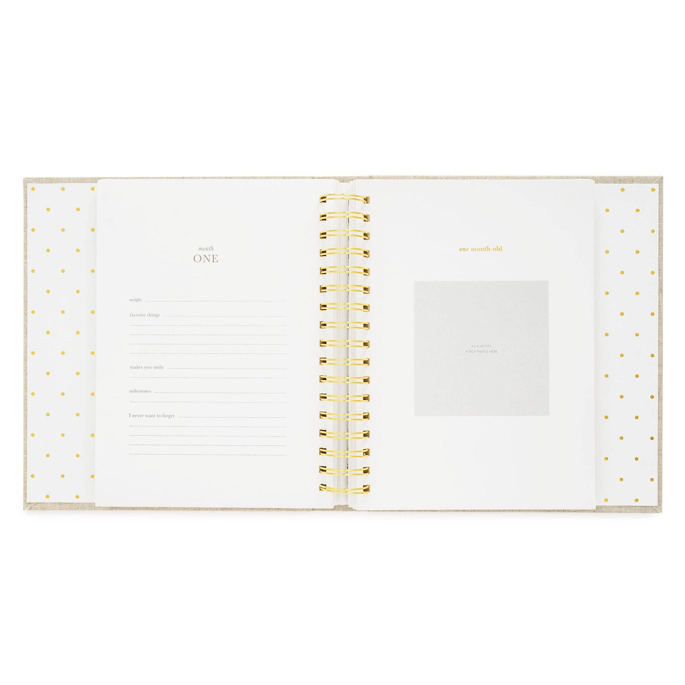 The Baby Book - Chambray