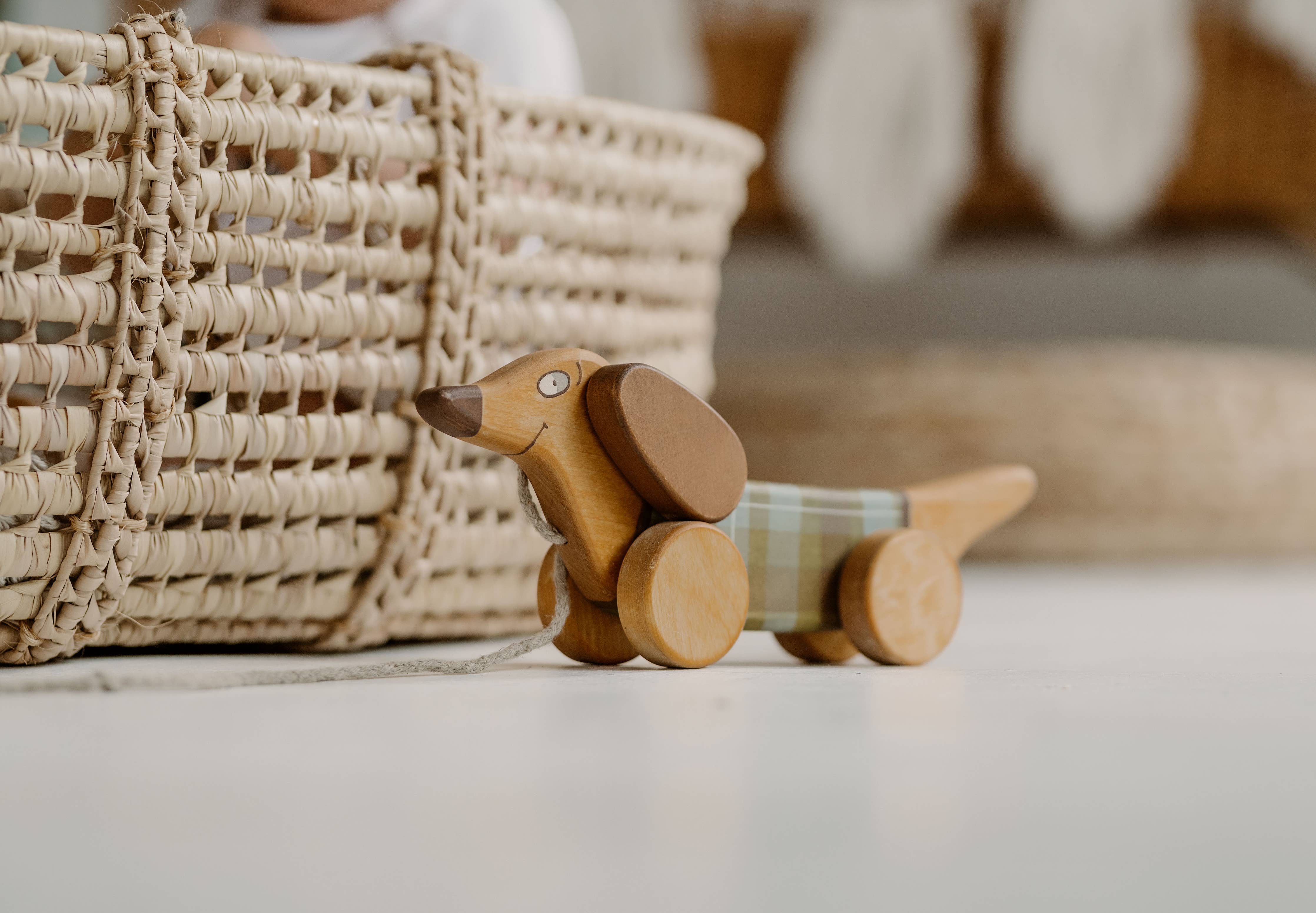 Handcrafted Birch Wood Green Sausage Dog Pull Toy