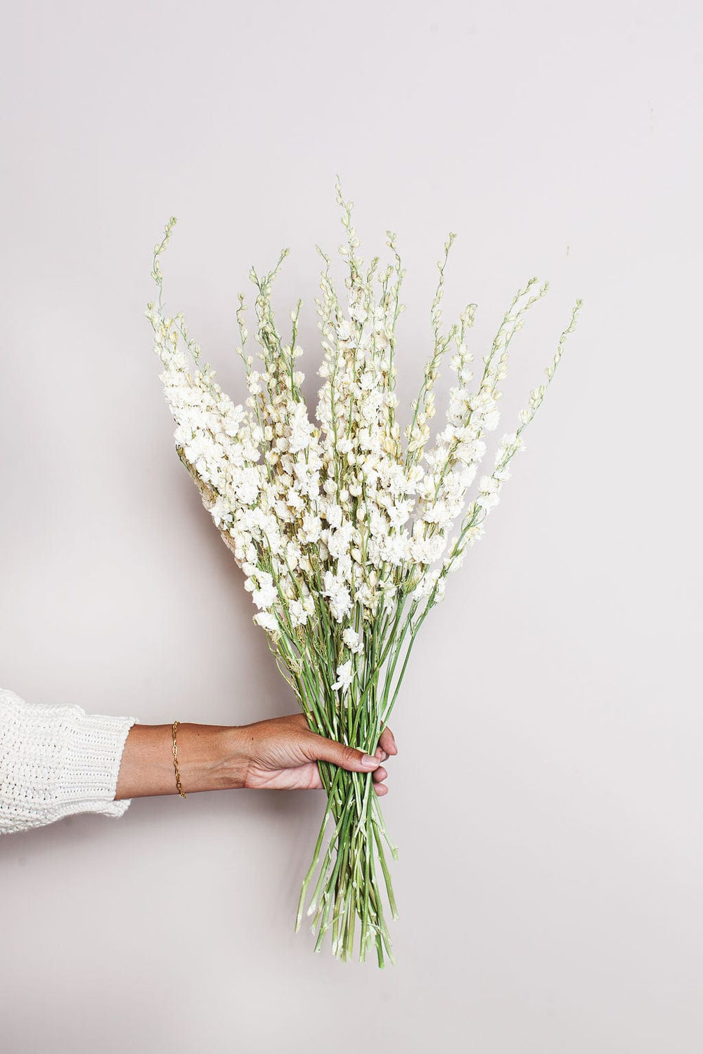 Dried Cream Larkspur