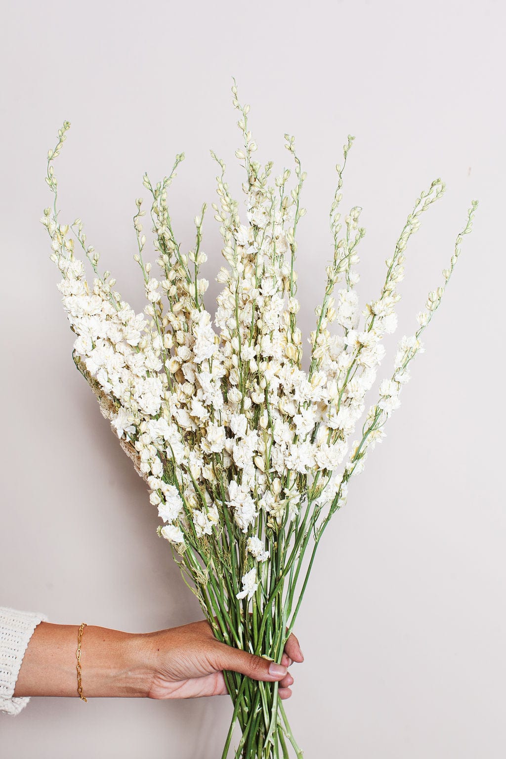 Dried cream larkspur, detail