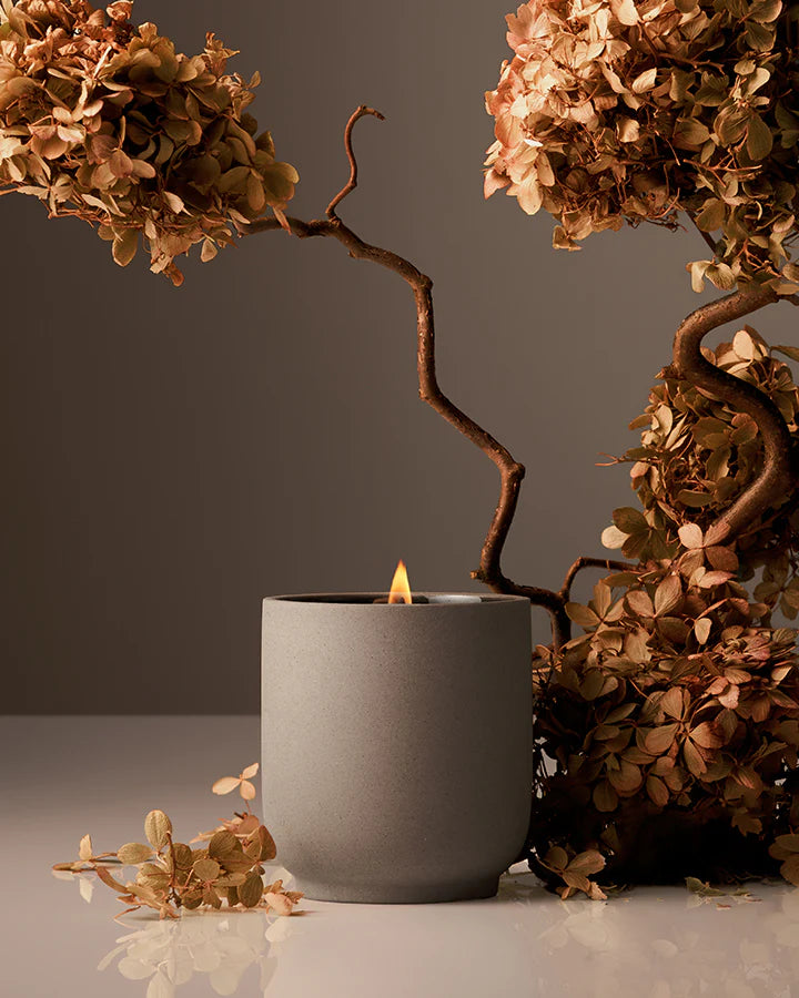 The Heirloom