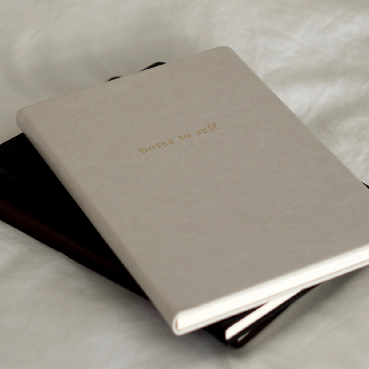 The Visit, Inside Then Out Notes to Self Lined Journal