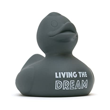 Living the Dream Wonder Duck