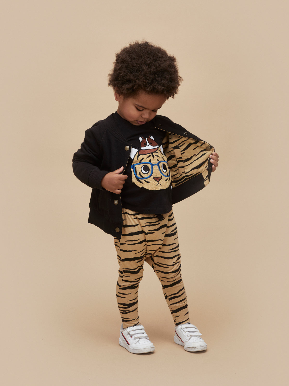 Wildcat Reversible Bomber