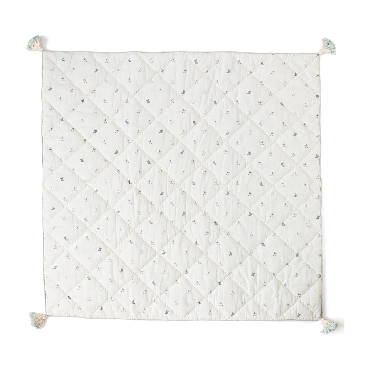 Hatchling Blanket