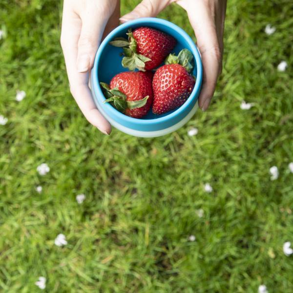 Snack set - cornflower